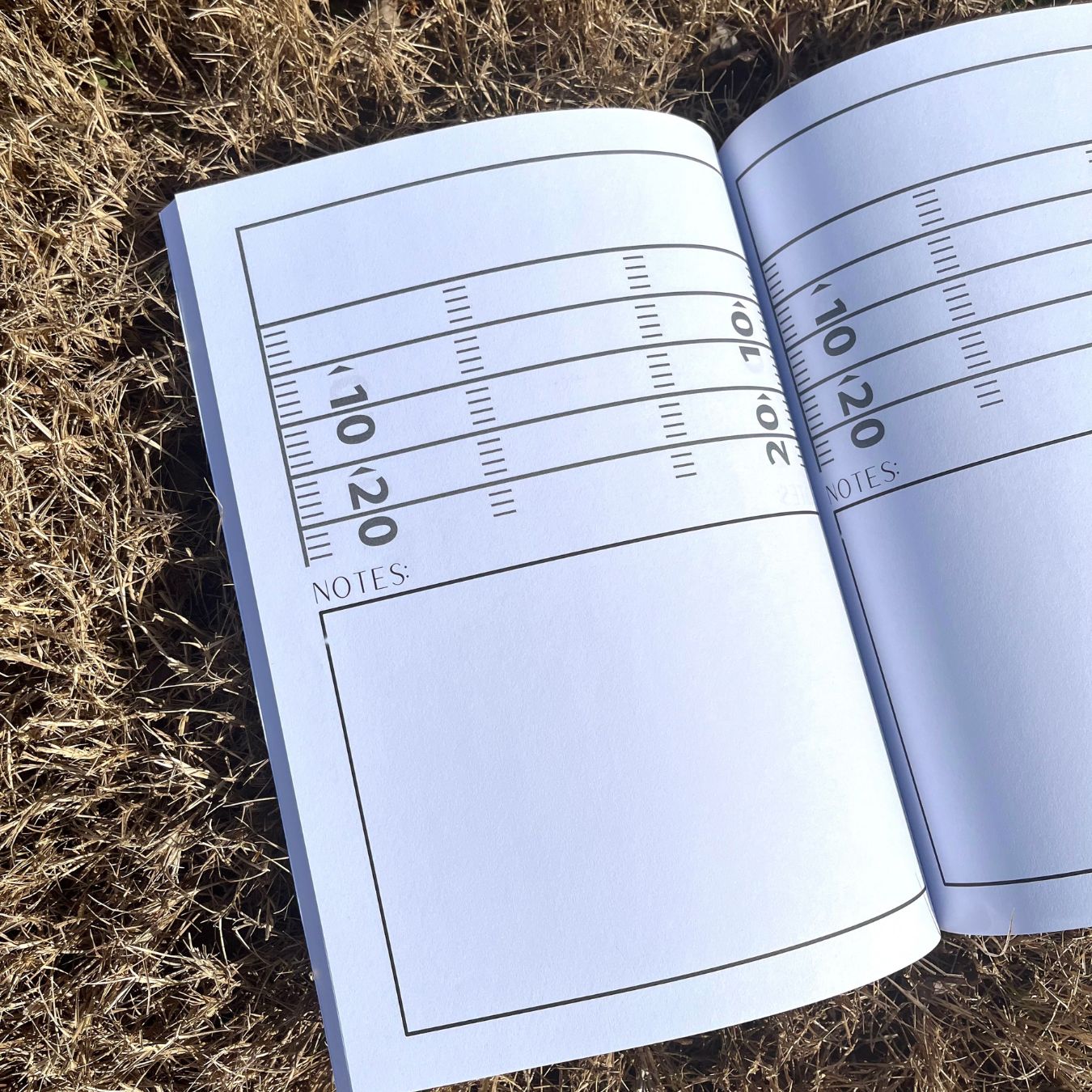 Football Play Designing Notebook: 100 Page Playbook with Football Diagrams and Note-Taking Sections